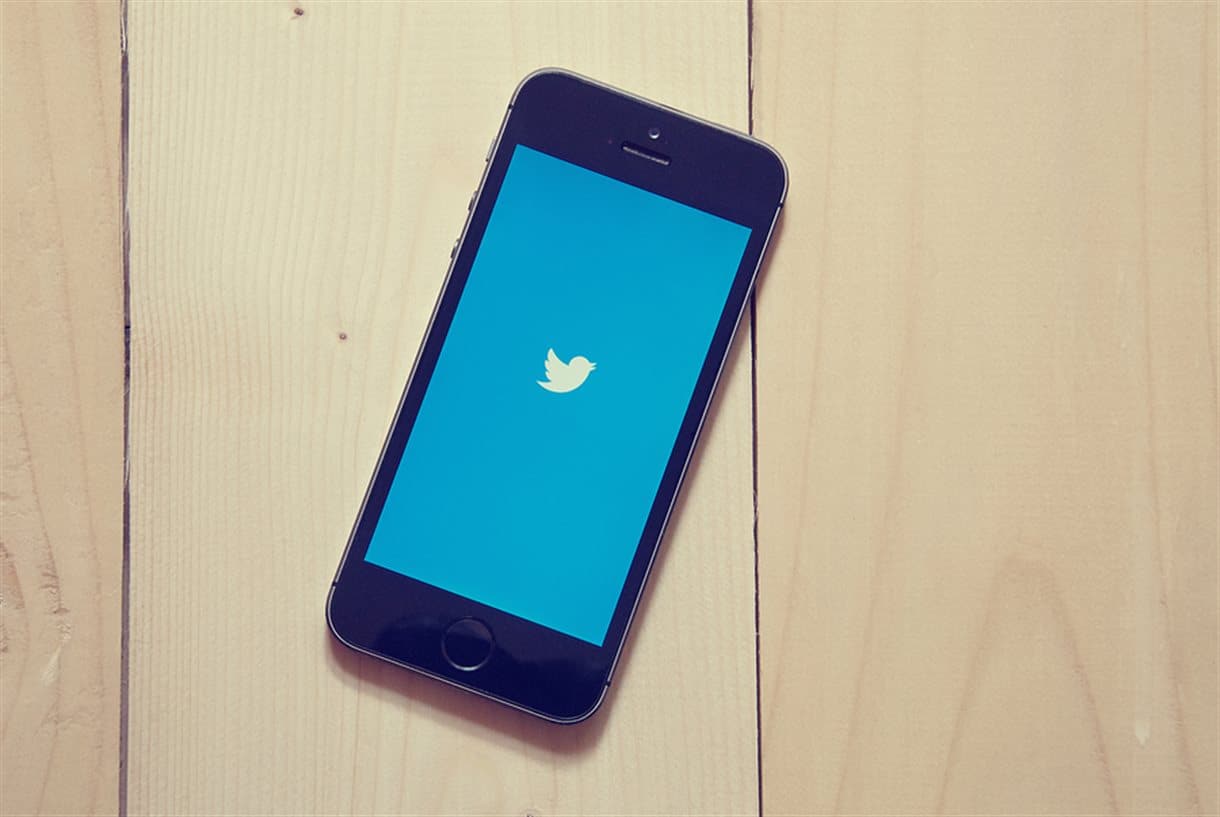 Twitter logo on mobile phone screen