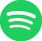 spotify icon